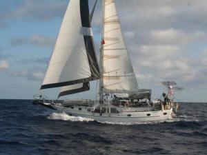 Soggy Paws Sailing On Passage in 2010