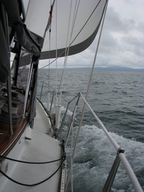 Soggy Paws Under Sail